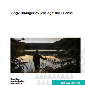 Ringvirkninger av jakt og fiske i Lierne kommune.