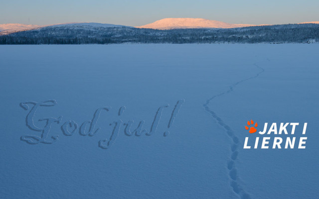 julebilde
