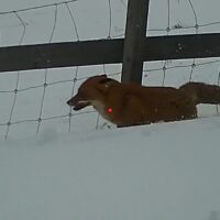 videocapture_20250301-171528