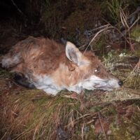 img_20251029_234332154