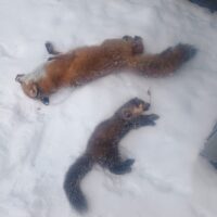 img_20251120_105442935-1-rotated