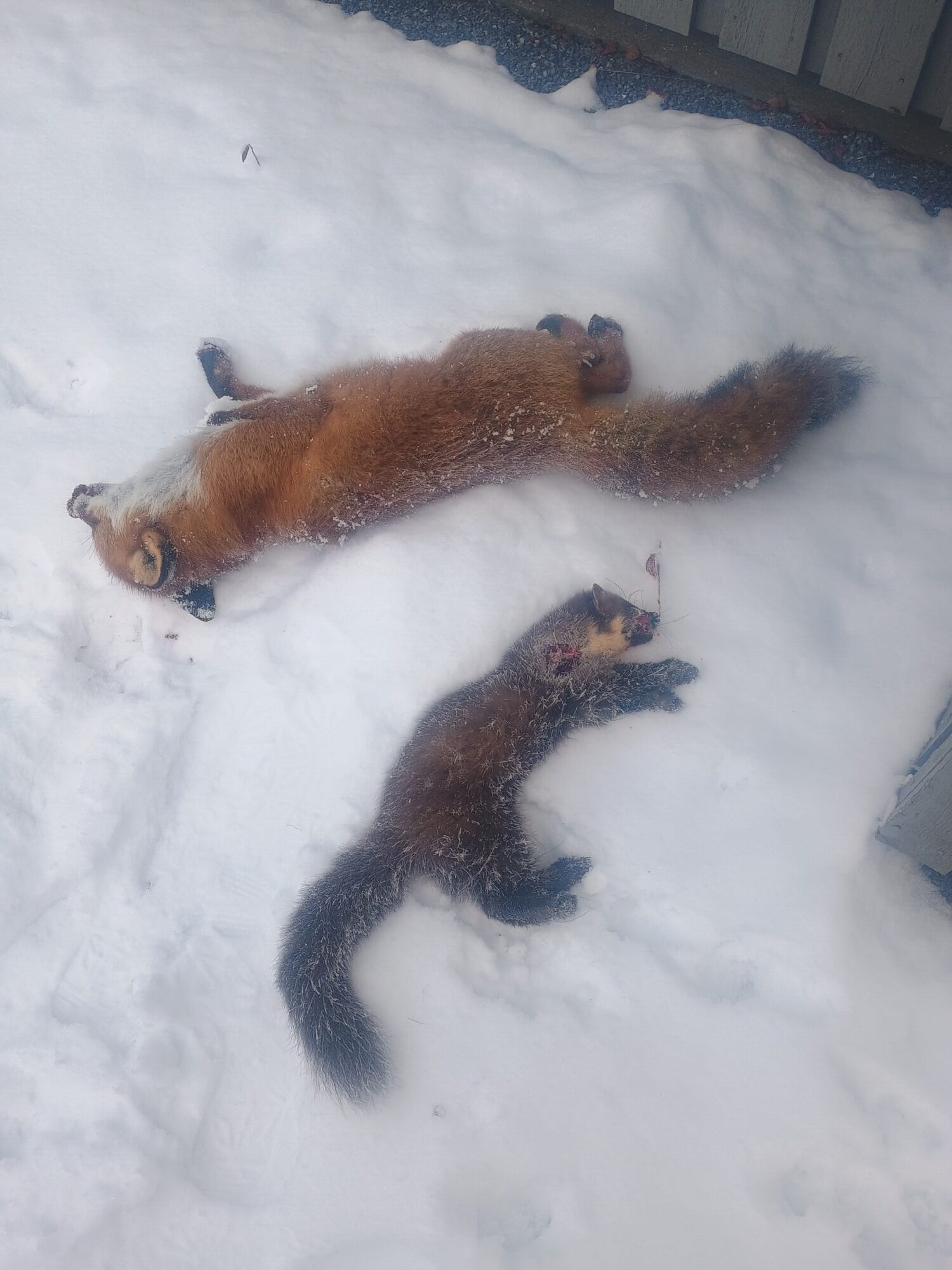 img_20251120_105442935-1-rotated