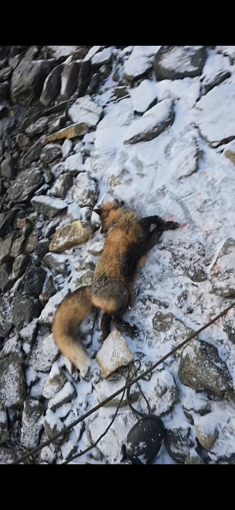 screenshot_20251130_210625_gallery