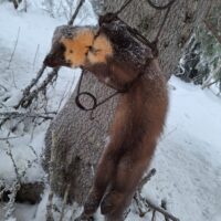 20251206_141828-rotated