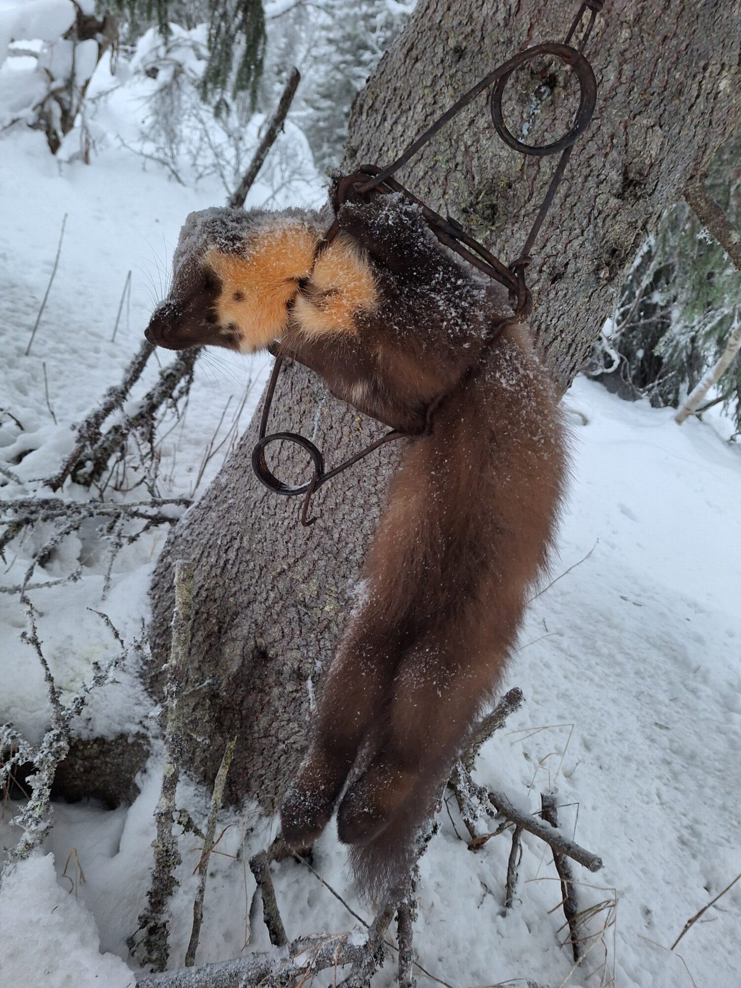 20251206_141828-rotated