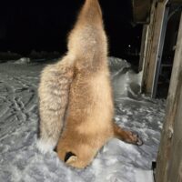 20260124_174526-rotated