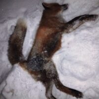 img_20260101_0744398812