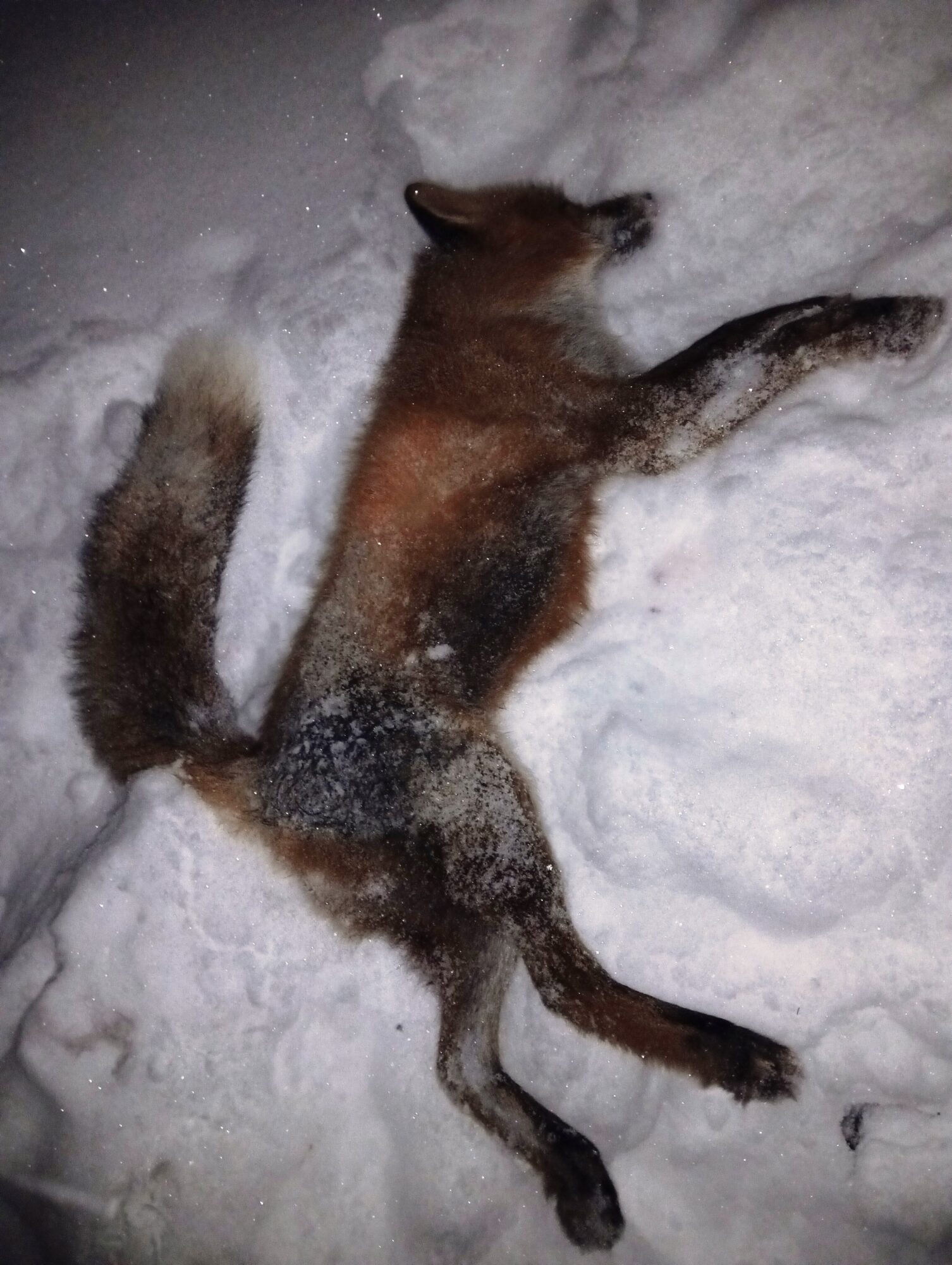 img_20260101_0744398812