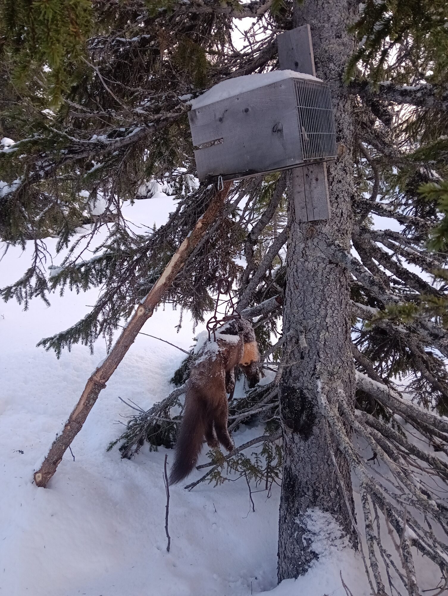 img_20260228_162427102