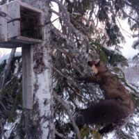 img_20260228_163303350_1