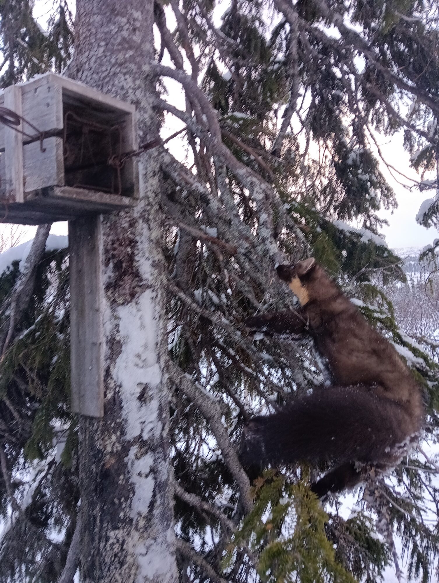 img_20260228_163303350_1