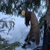 20260301_152041-rotated